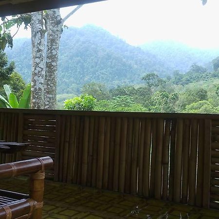 Готель Batu Kapal Jungle Houses Берастагі Екстер'єр фото