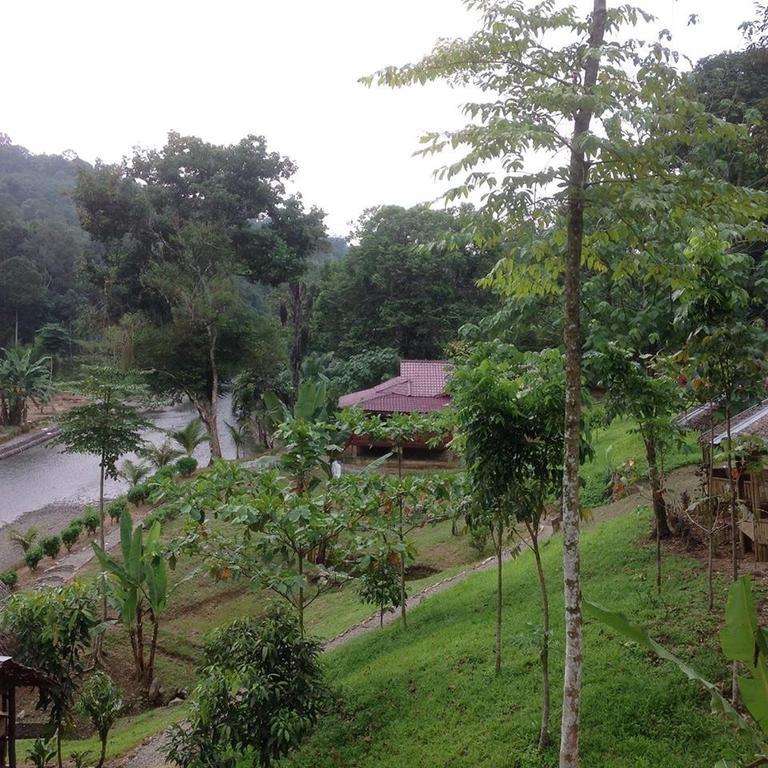 Готель Batu Kapal Jungle Houses Берастагі Екстер'єр фото