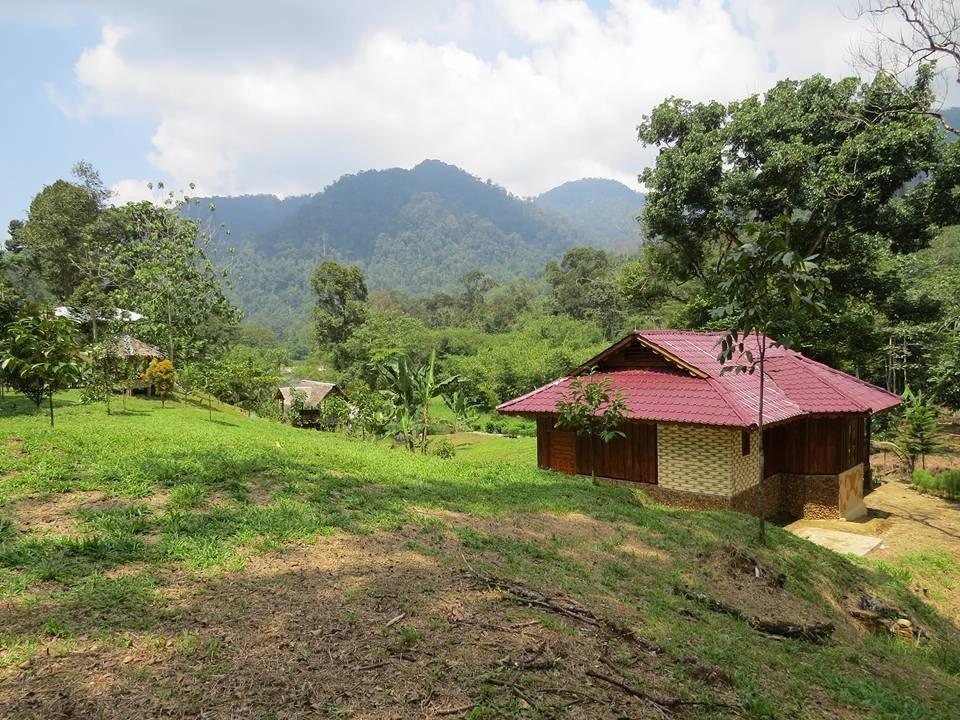 Готель Batu Kapal Jungle Houses Берастагі Екстер'єр фото
